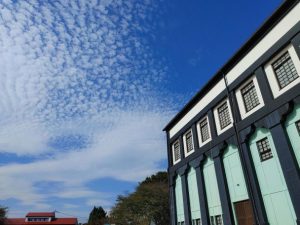 学校公開・地域公開がありました