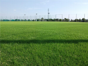 男子サッカー部　静岡遠征最終日