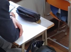 武蔵中学校の2年生が授業を体験ーー30日