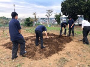 トウモロコシの収穫と冬に向けて～ジャガイモ～