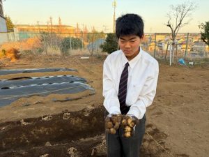 新じゃが収穫！！