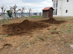 畑わさびの栽培スタート、そして春植えじゃがいも、トウモロコシの土壌も・・・！！