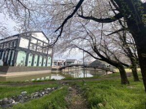 みなさんこんにちは！芸術部（美術）です。