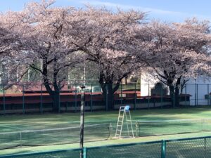 男女硬式テニス部新体制スタート！