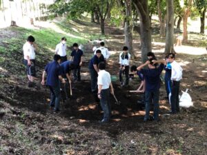 生物部の畑で枝豆を収穫しました！！また、冬に向けて・・・