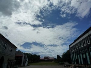 事務室からのお知らせ– 夏休み中の閉室について