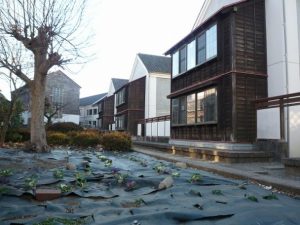 3学期始業式がありましたーー9日