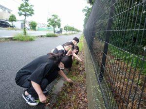 入間市清掃デーに参加＆キャンパスを公開–6/2